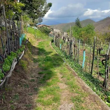 Prázdninový dům Tuscany Escape *